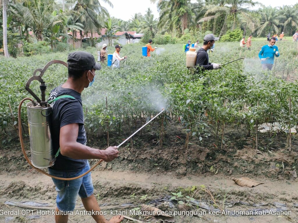 Komisi IV meminta Kementan menyediakan berbagai dukungan dan fasilitas pertanian cabai di Kabupaten Batu Bara, Provinsi Sumatera Utara (Sumut).